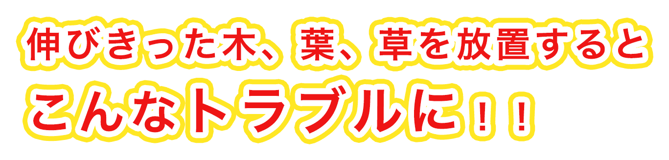 伸び切った木、葉。草を放置するとこんなトラブルに!!